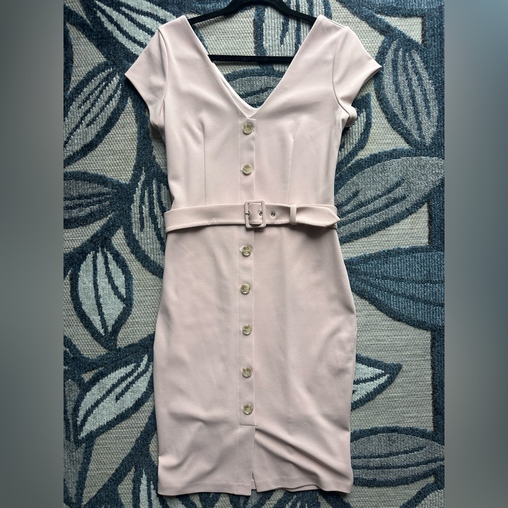 Express Belted Button Front Pink Sheath Dress - Picture 4 of 9